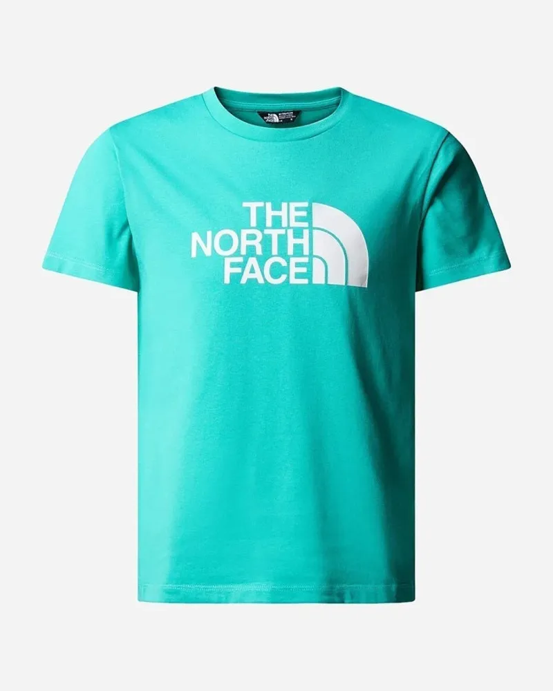 The North Face Die Nordfläche B S Easy Tee TNF Weiß/Asphaltgrau Green