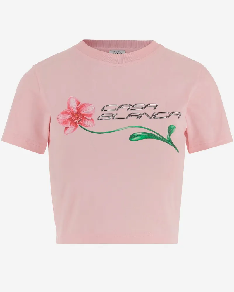 Casablanca Paris  Pink