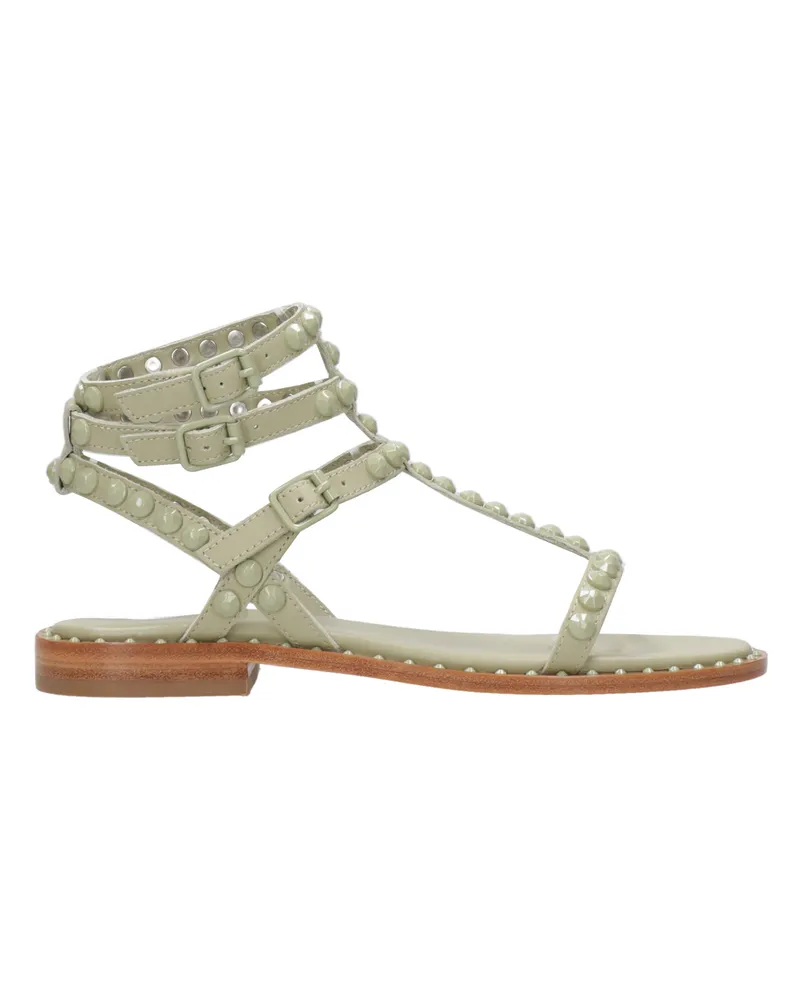ash Aschensandalen Eucalipto