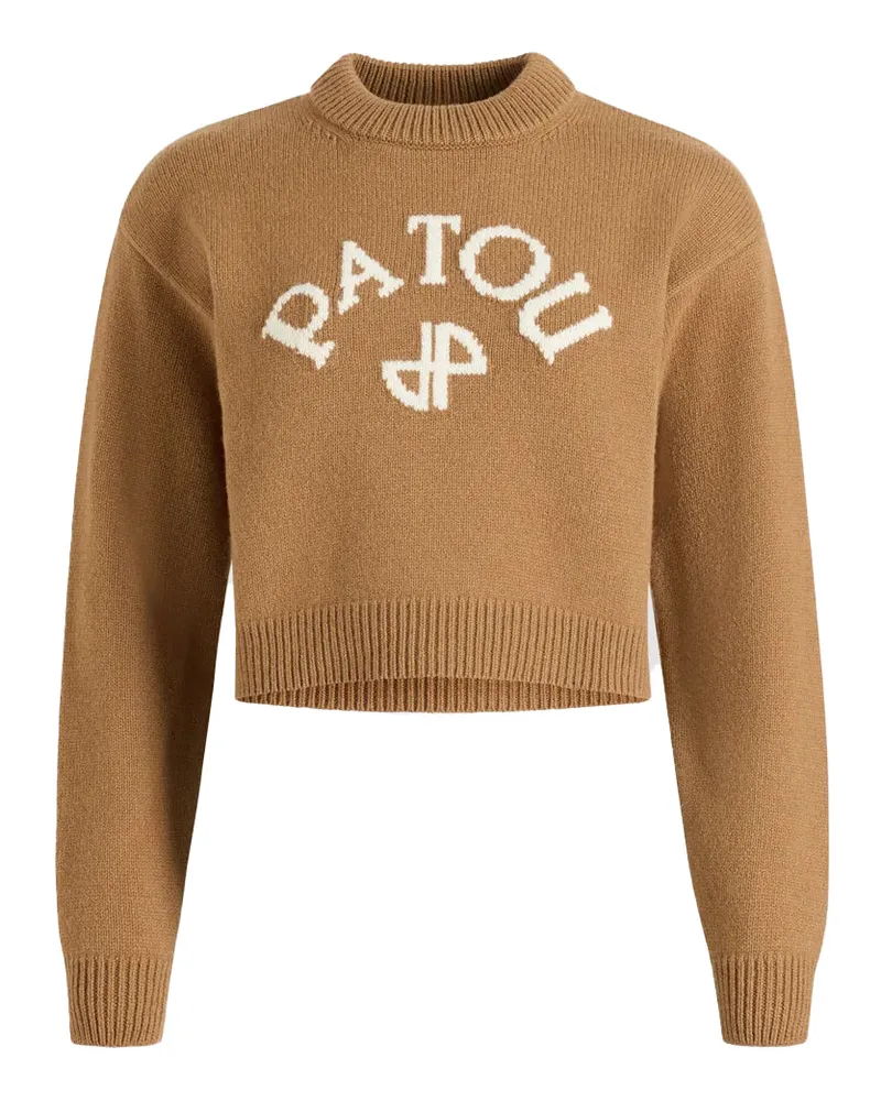 Patou Pullover Braun Brown