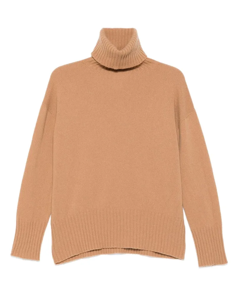ALYSI  Camel