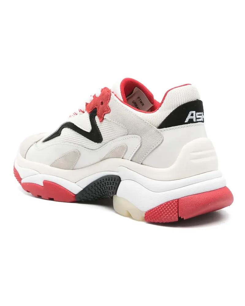 ash Asche Sneaker Addict White/Rot/Schwarz White