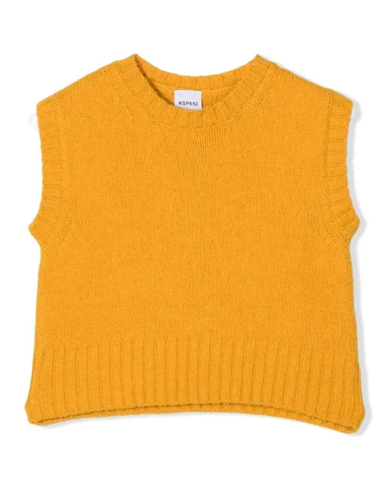 ASPESI Tricot Weste Yellow