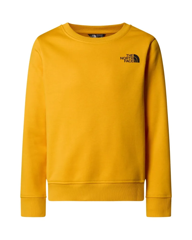 The North Face Das North Face T -Shirt mit "Crew" -Logo Orange