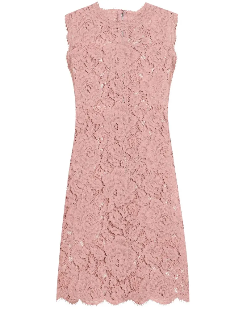 Dolce & Gabbana Kurzes Spitzenkleid F0473
