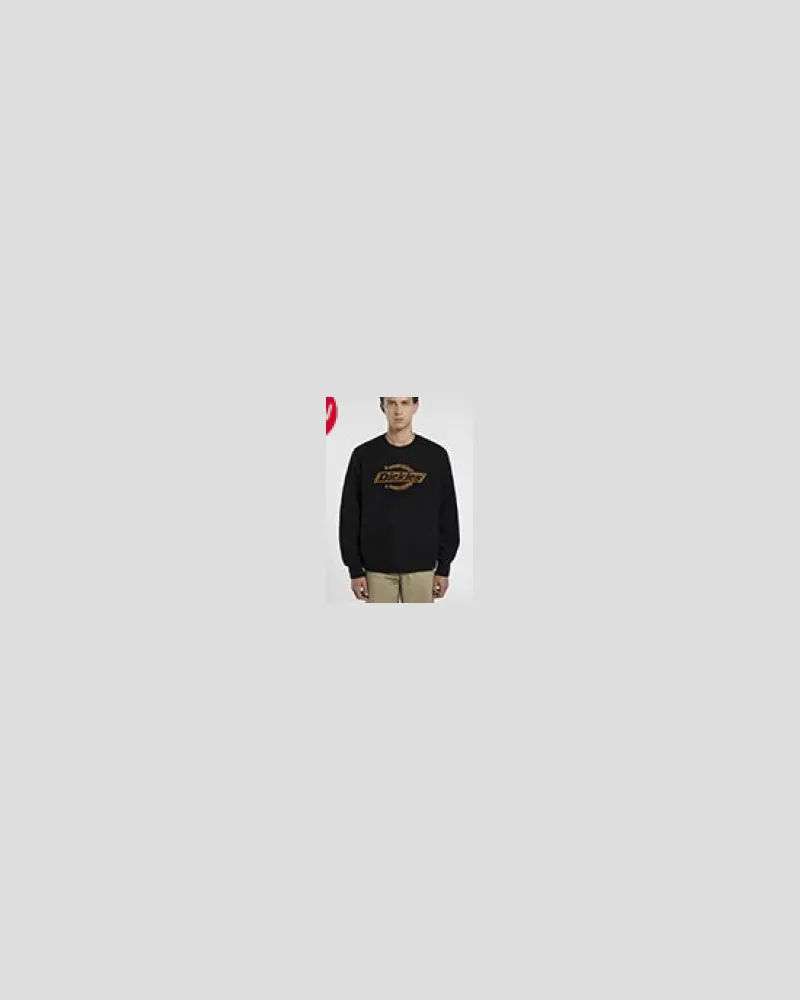 Dickies Sweaters schwarz Black