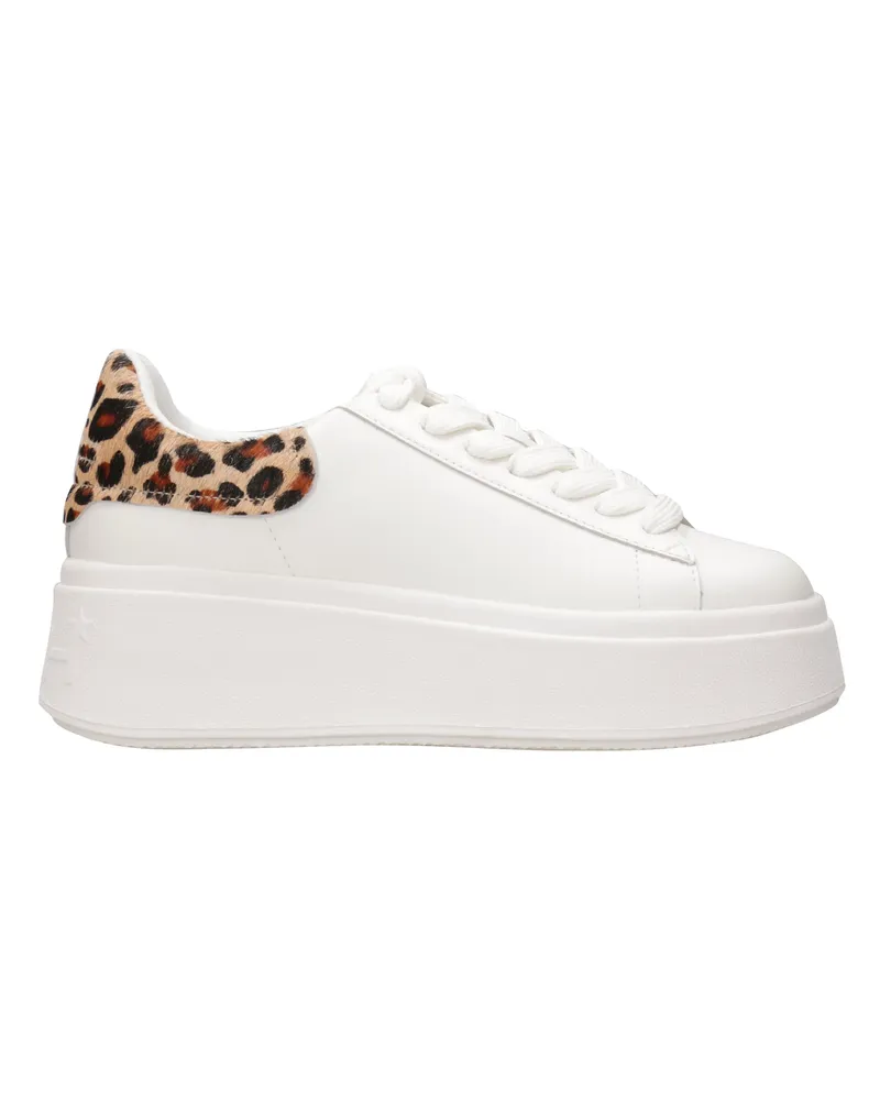 ash Asche-Sneaker Bianco+leopardo