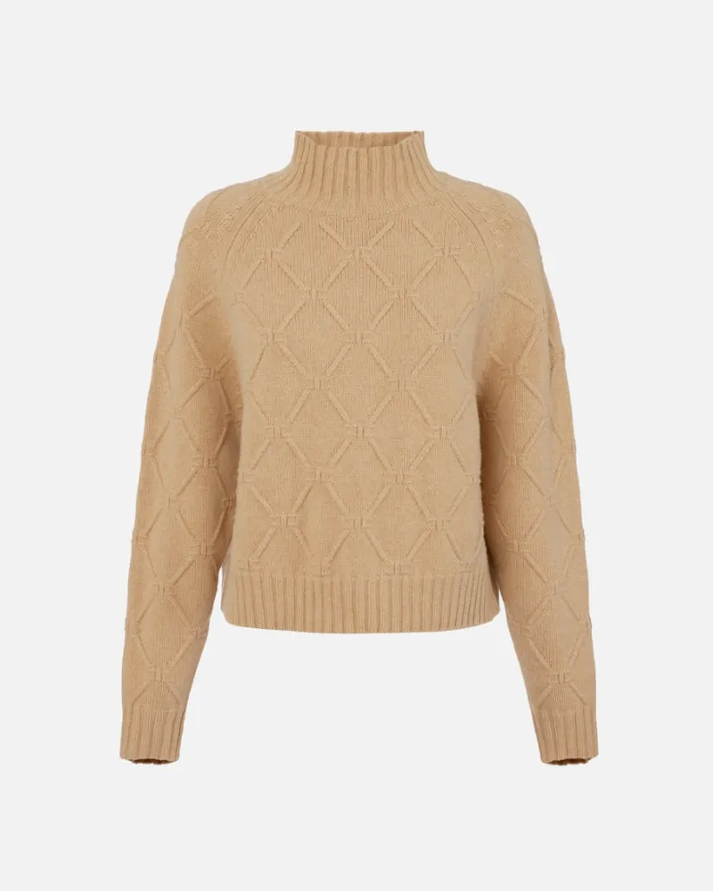 Elisabetta Franchi Jacquard Rhombus Pullover Miele