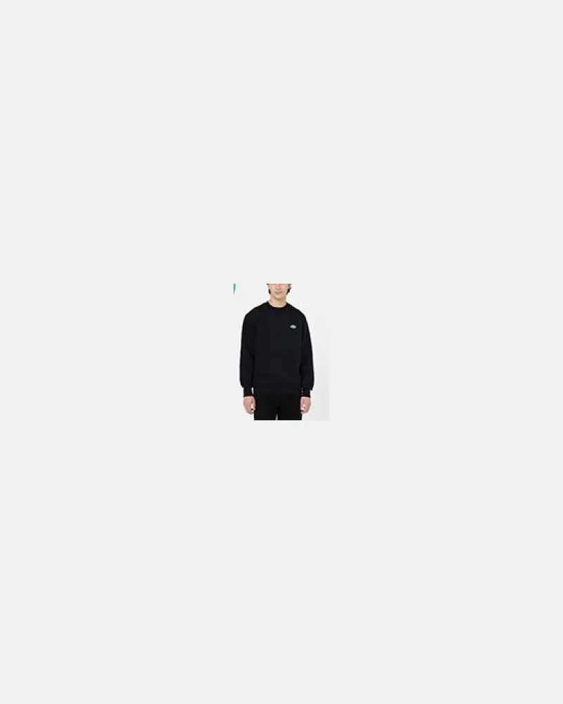 Dickies Sweaters schwarz Black