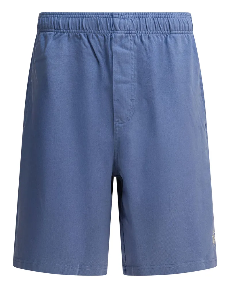 Stüssy Shorts Blue