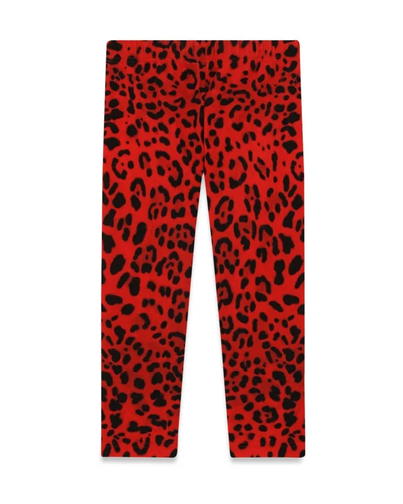 Dolce & Gabbana Leggings Animalier