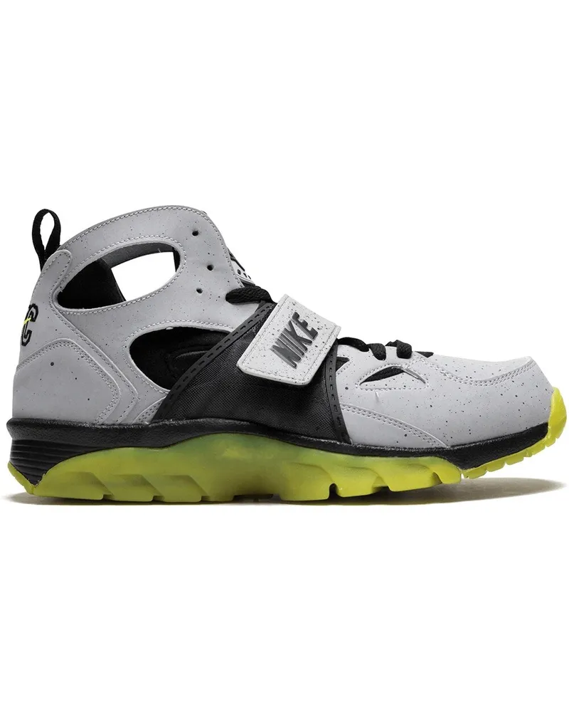 Nike  Grau