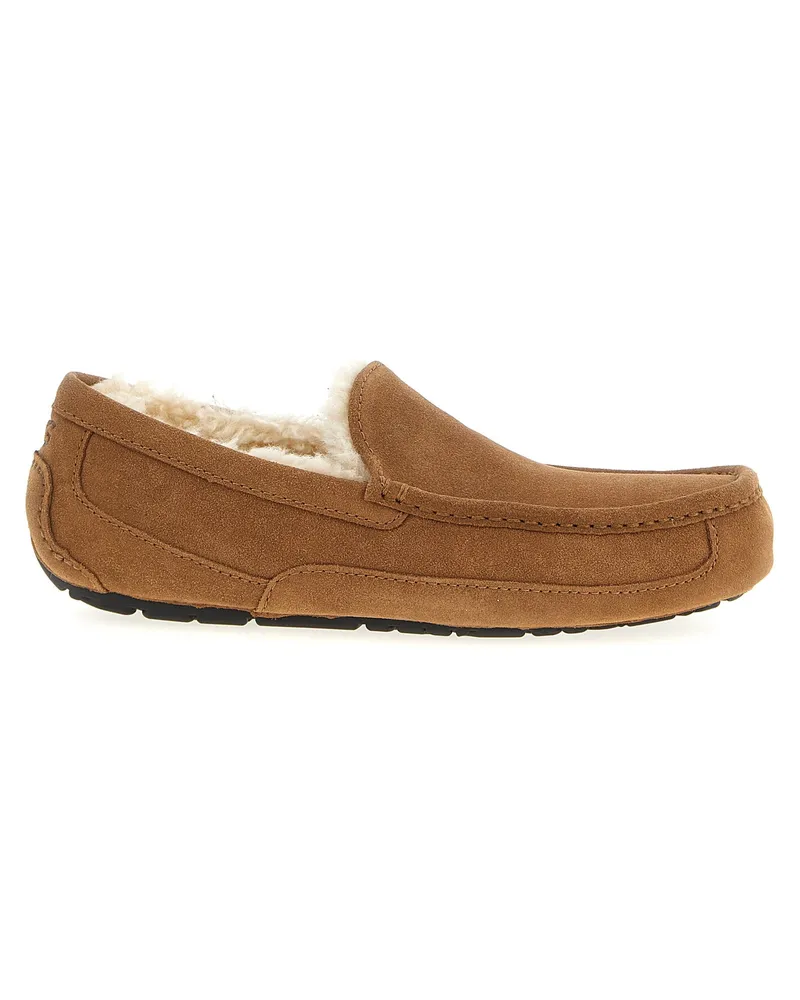 UGG Ascot' Slipper Brown