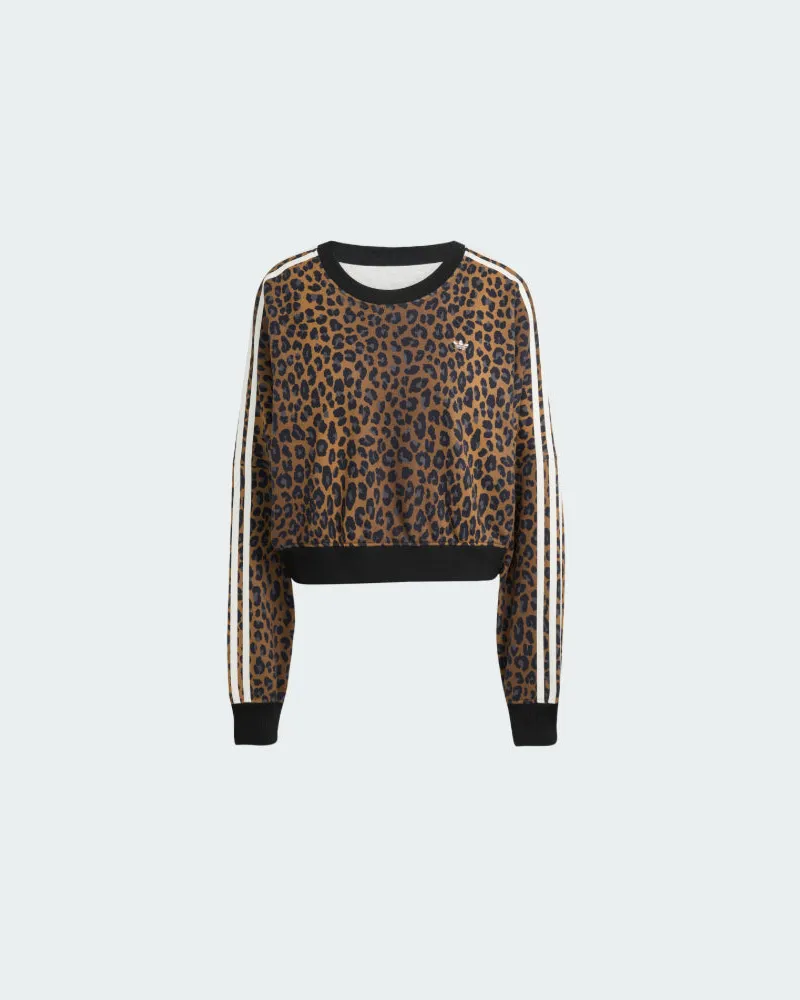 adidas Sweaters Multi -Farbe Multicolour