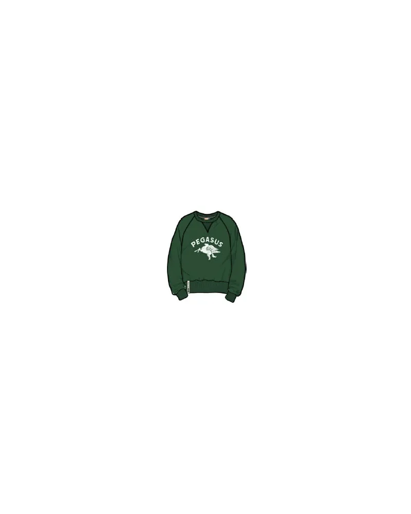 Champion Pullover 