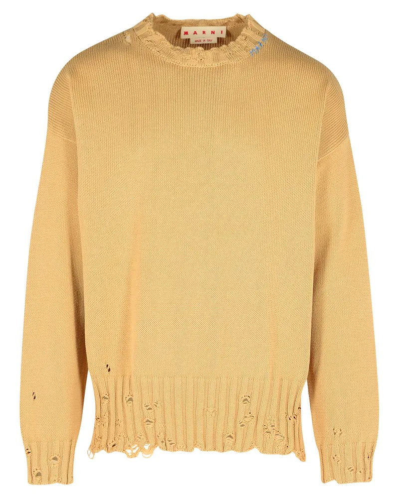 Marni Beige Baumwollpullover Beige