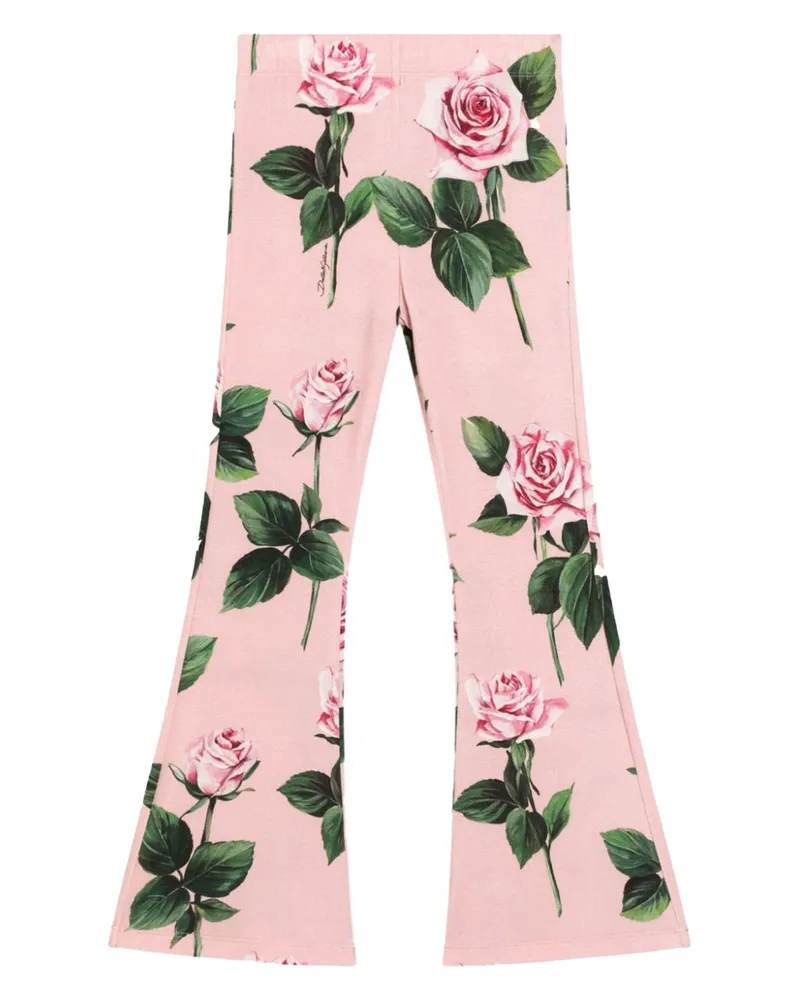 Dolce & Gabbana Hosen Multicolour