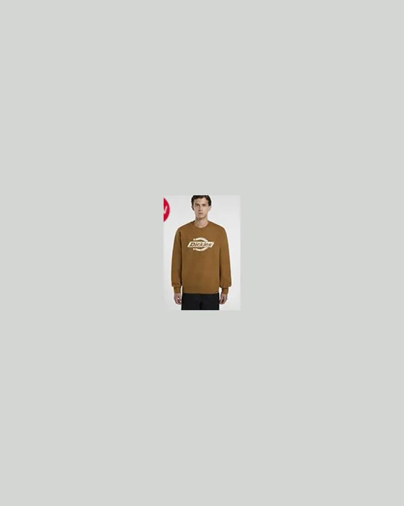 Dickies Pullover Brown