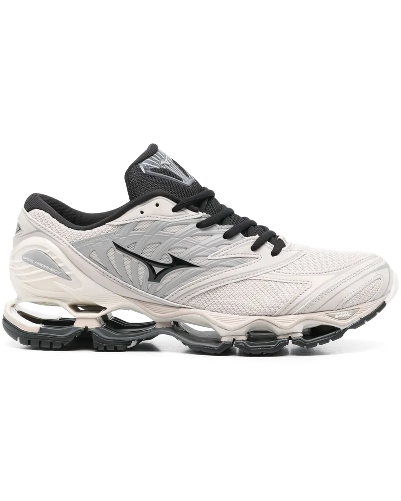 Mizuno Dies ist eine Liste von Unternehmen, die im Hauptrat von  Shoe aufgeführt sind S.L 