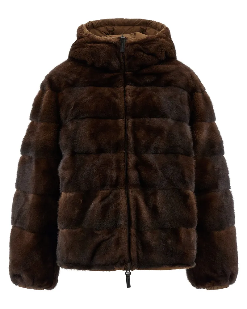 Yves Salomon Wendefell Brown