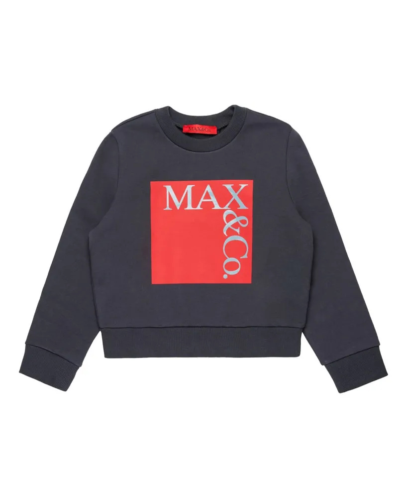 MAX&Co. Max & co. Sweatshirt Grey