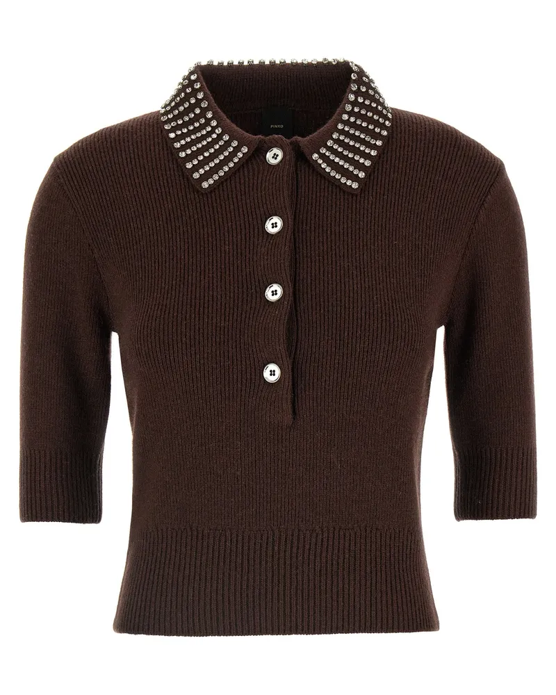Pinko Emilia' Pullover Brown