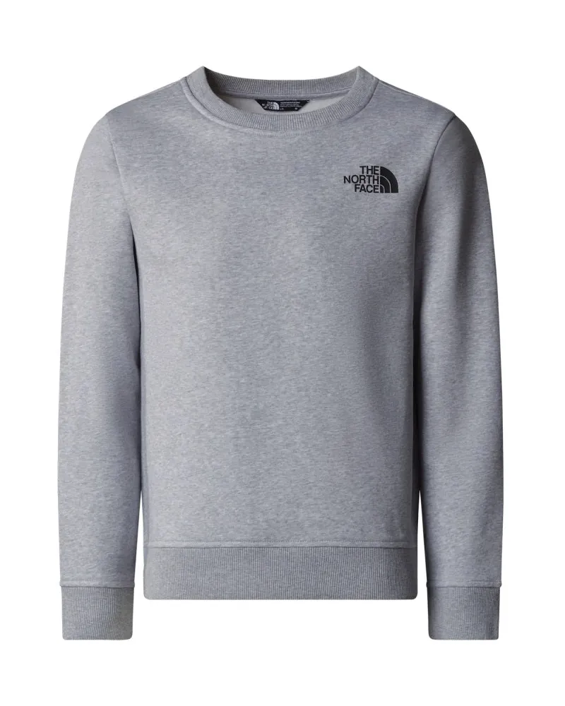 The North Face Das North Face T -Shirt mit "Crew" -Logo Grey