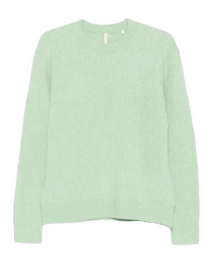 Sunflower Ich'm Nirgendwohin gehen 