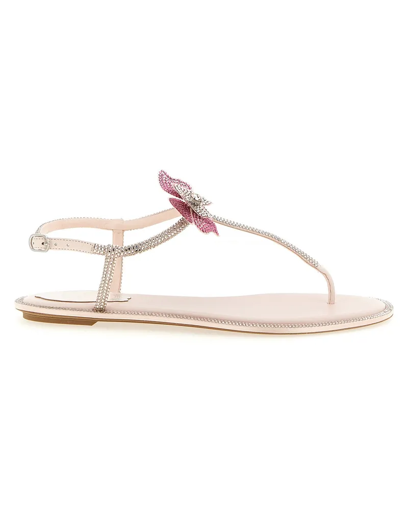 René Caovilla Fee' Sandalen Pink