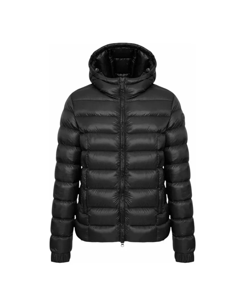 Colmar poliert Black