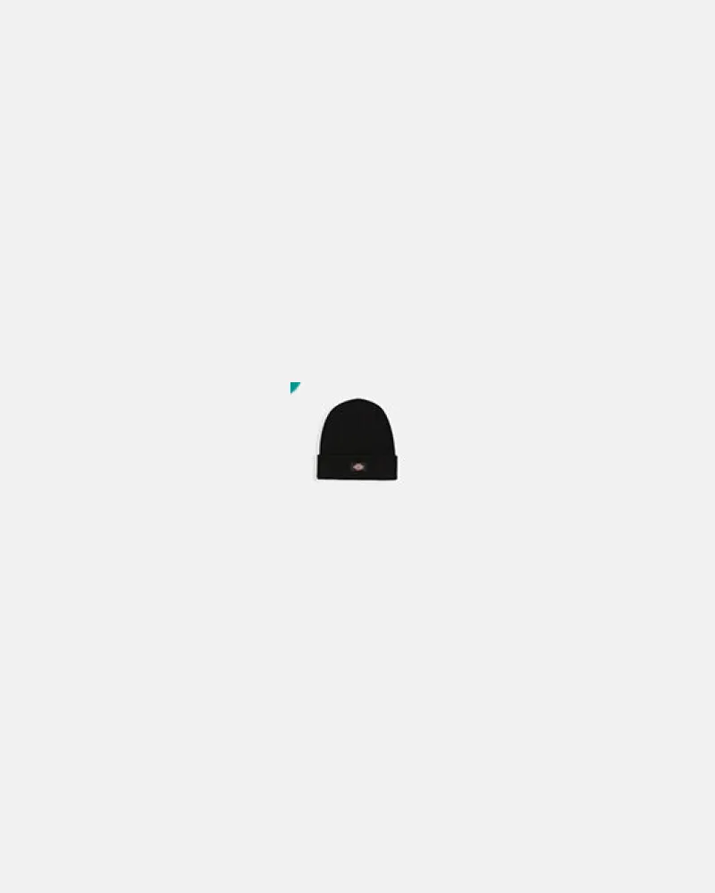 Dickies Hüte schwarz Black