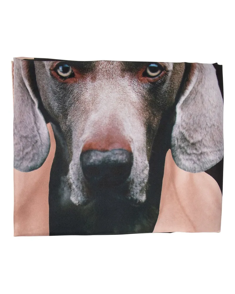 Max Mara Bedruckter Seidenschal von Pink