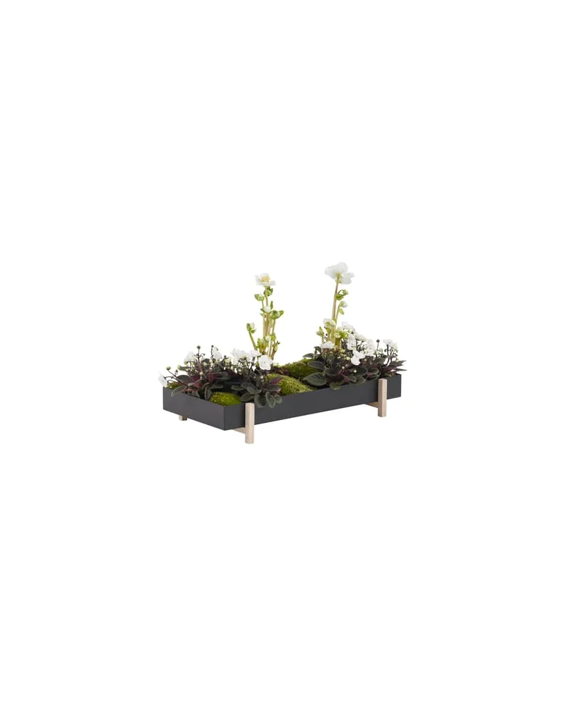 Design House Stockholm Blumentopf Botanic - Schwarz - Esche massiv - Designer Atelier 2 