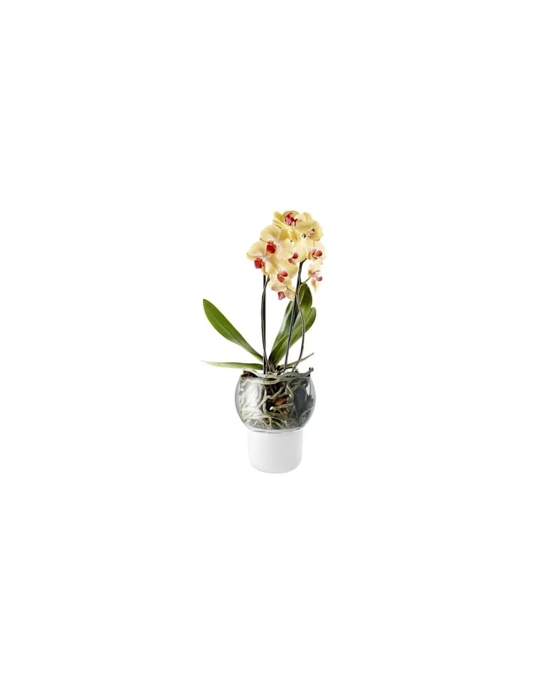 Eva Solo Blumentopf mit Wasserreservoir Pot de fleurs - Weiß - Opal-Glas - Designer The Tools 