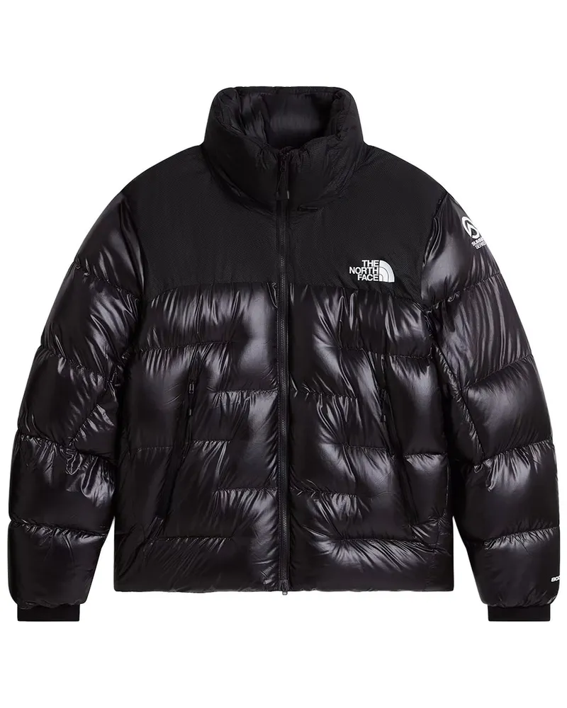 The North Face m Summit Nuptse Jacket Nf0a8h3djk31 Schwarz