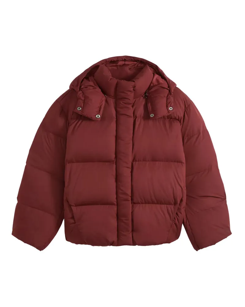 Levi's Tate Bubble Puffer Bordeaux Rot