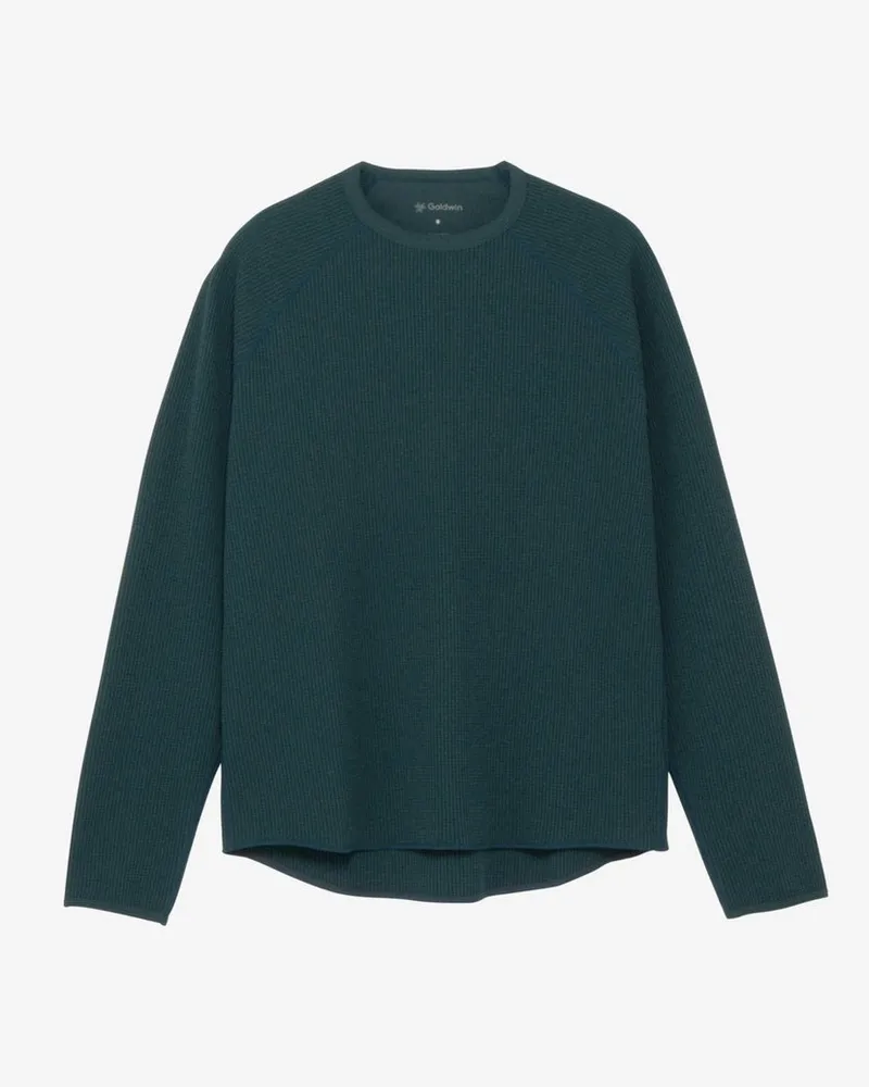 Goldwin wf Light L/s T-shirt Grün