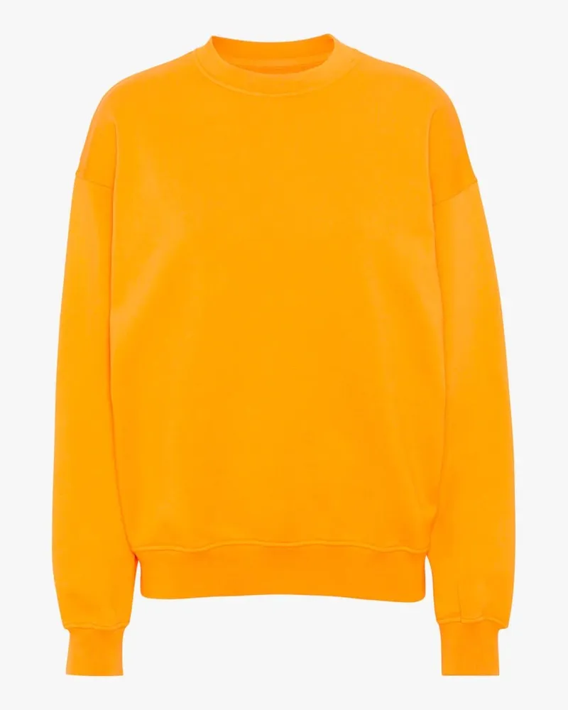 COLORFUL STANDARD Oversize-Bio-Pullover Orange