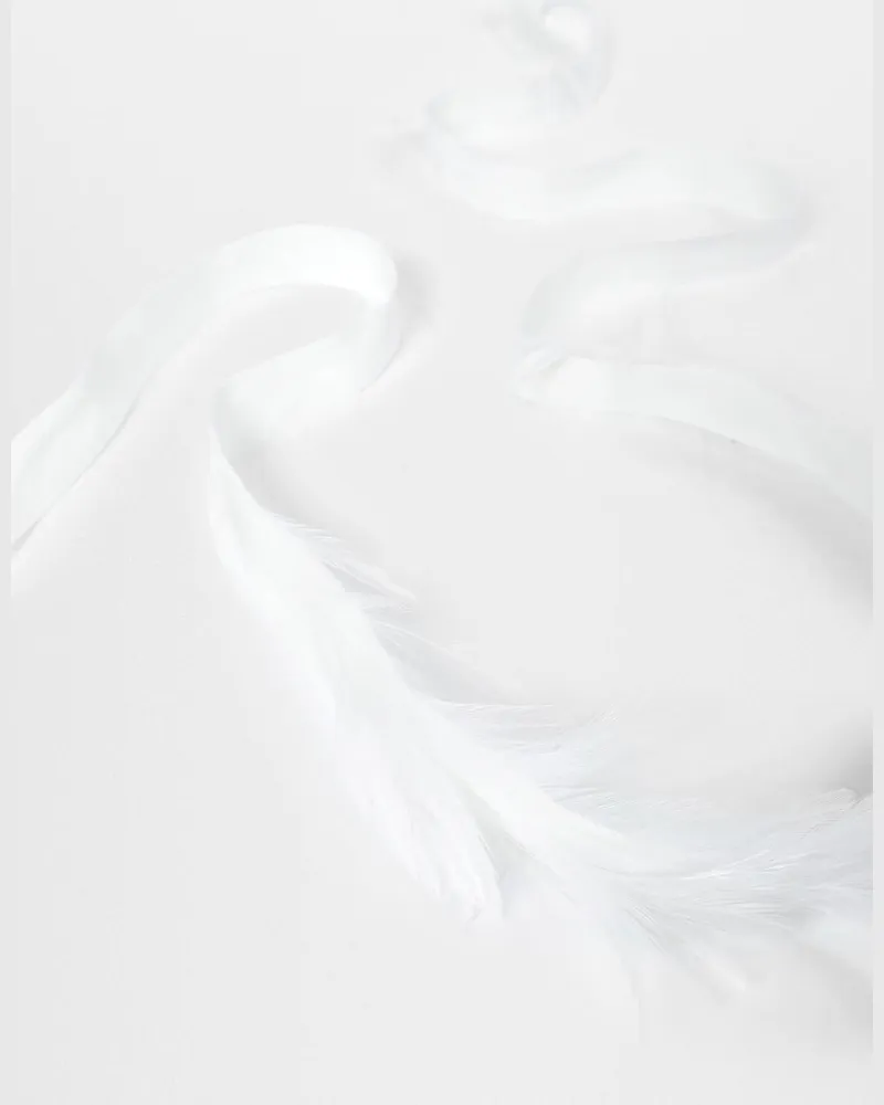 Ann Demeulemeester Zena Cock Feathers on Cotton Ribbon Weiß