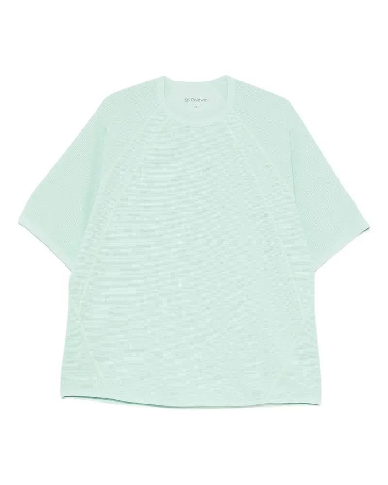 Goldwin Mesh wf Actinoid T-shirt Grün