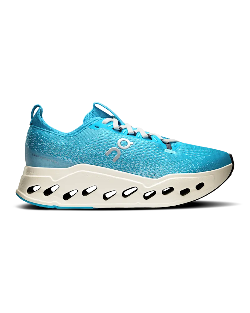 ON Cloudsurfer Max Horizon