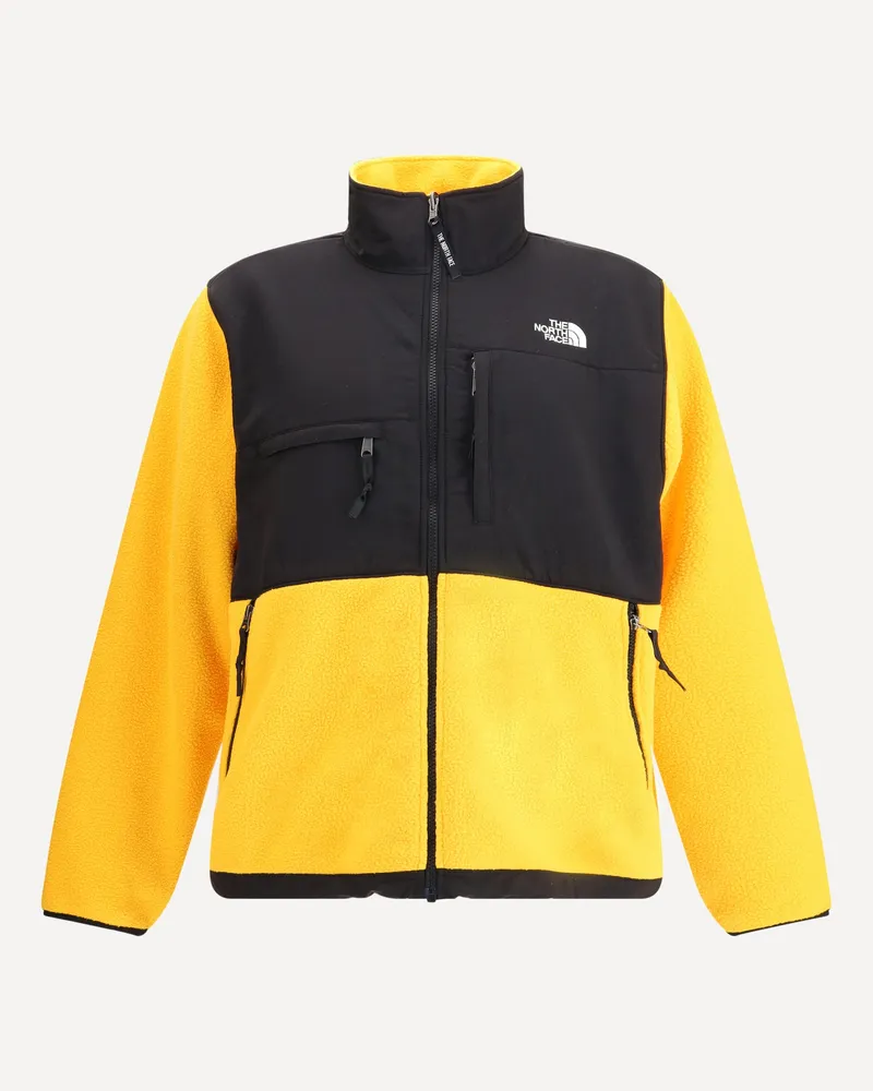 The North Face Retro Denali Jacket Male Multicolour