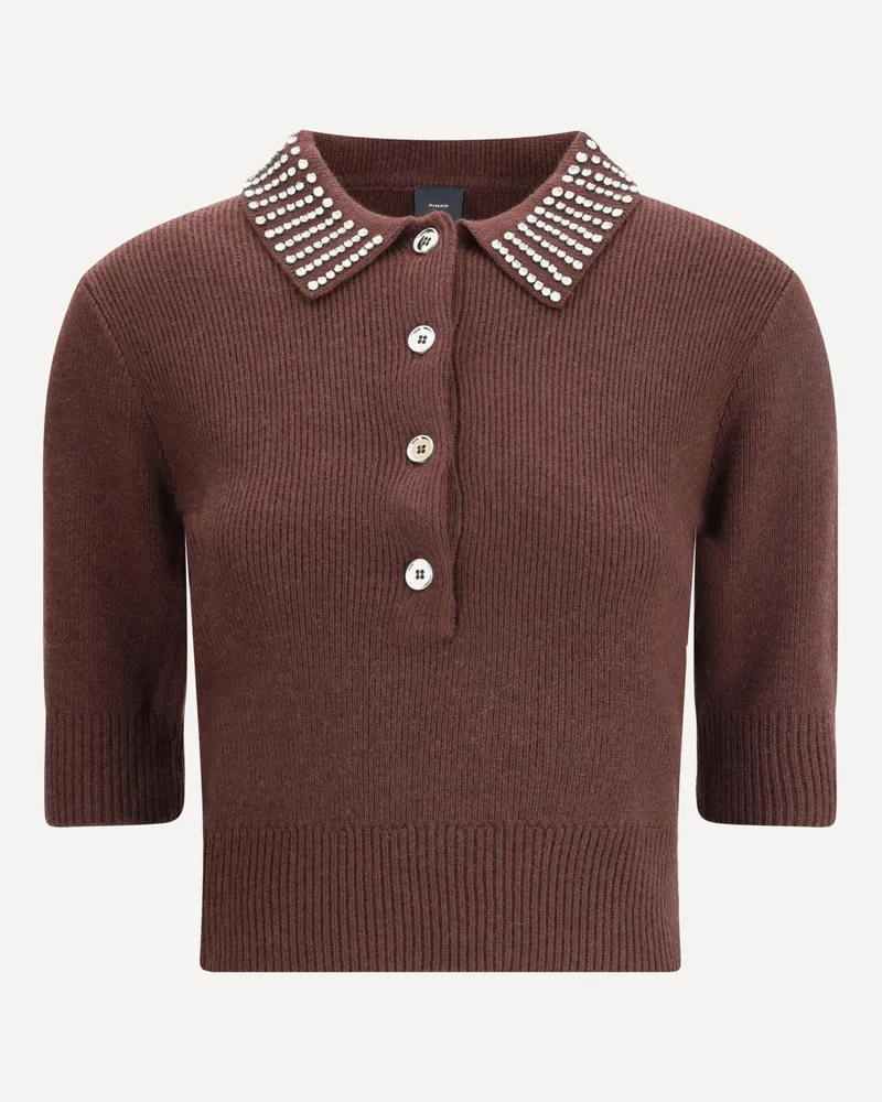 Pinko Emilia Sweater with strass Female Brown