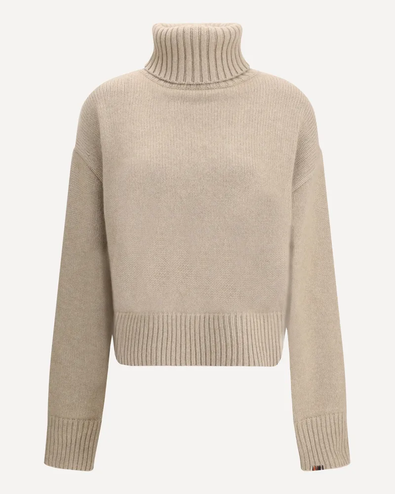 extreme cashmere N°434 Crop Xtra Turtleneck Sweater in Cashmere Female Beige