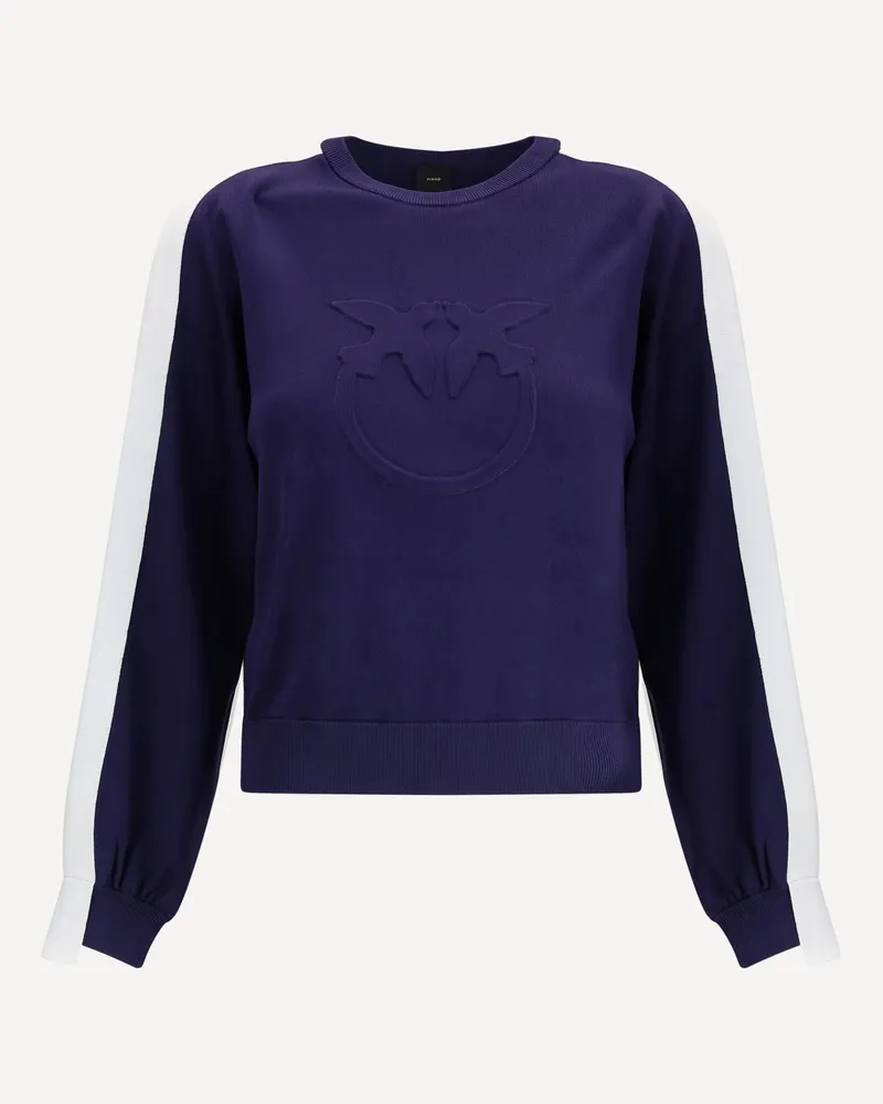 Pinko Logo Sweater Female Blue