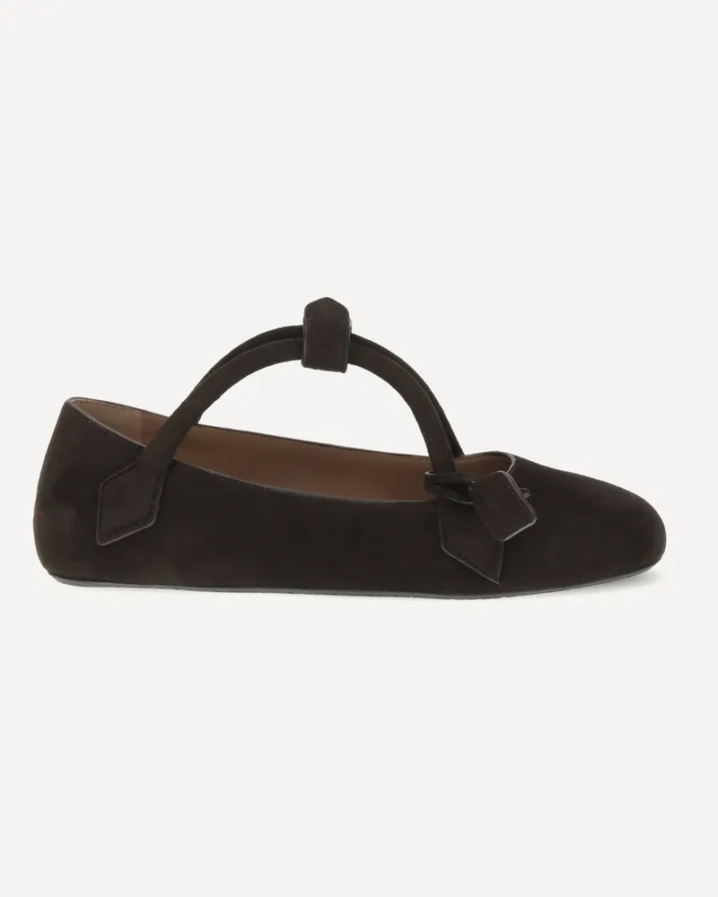 Alaïa Le Teckel Ballerinas Female Brown