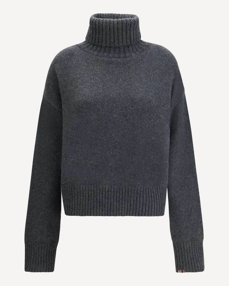 extreme cashmere N°434 Crop Xtra Turtleneck Sweater in Cashmere Female Grey