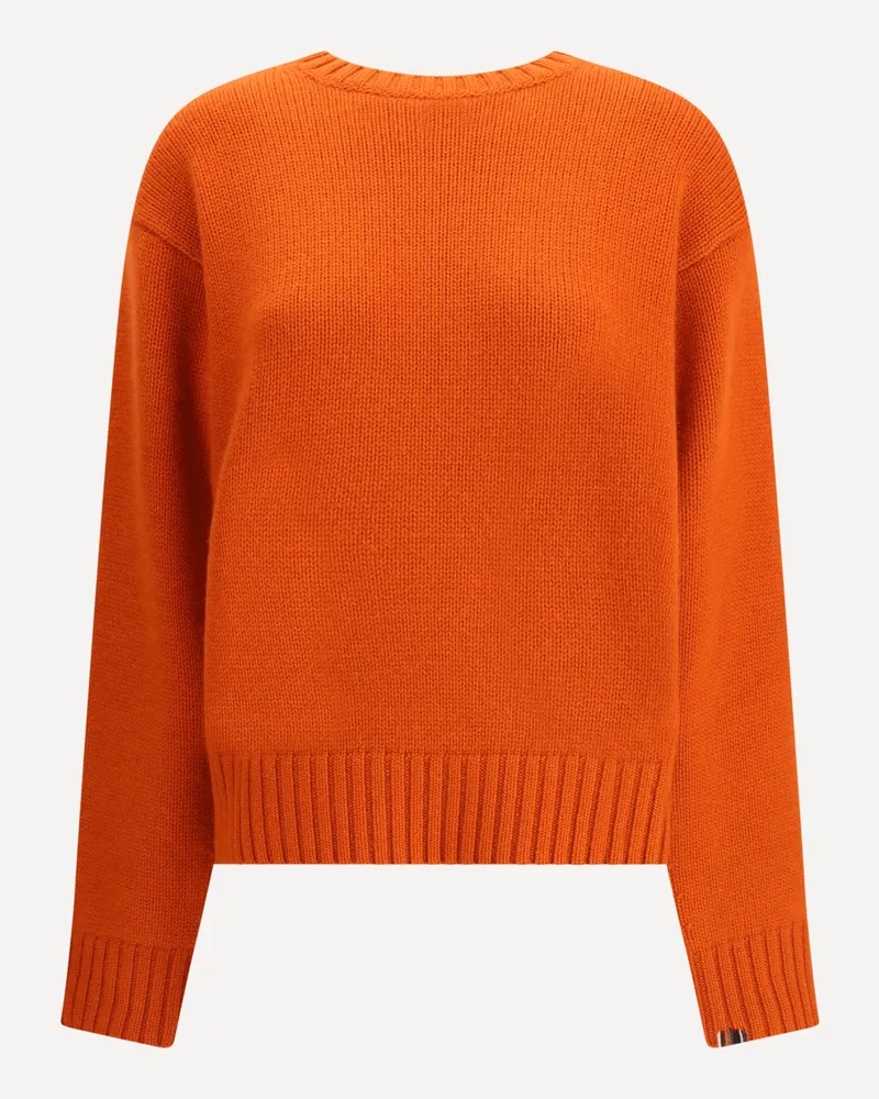 extreme cashmere Crewneck Sweater N°373 Oldie in Cashmere Female Orange