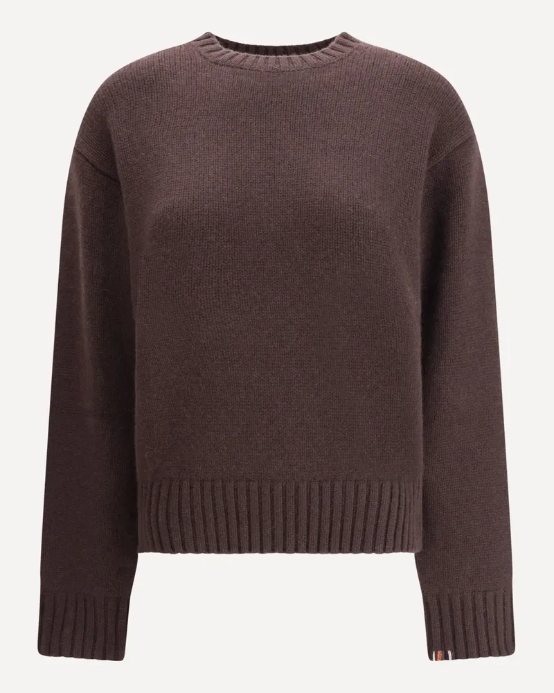 extreme cashmere Crewneck Sweater N°373 Oldie in Cashmere Female Brown