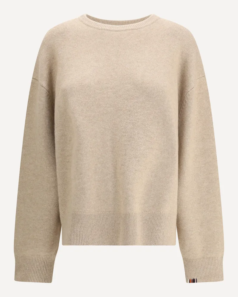 extreme cashmere Mike Sweater n°431 in Cashmere Female Beige